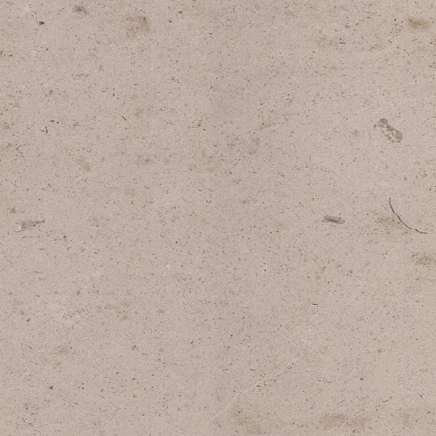 Moleanos Fine Grained